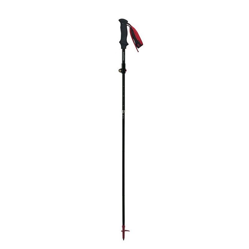 Bastones Trekking Carbono Plegable