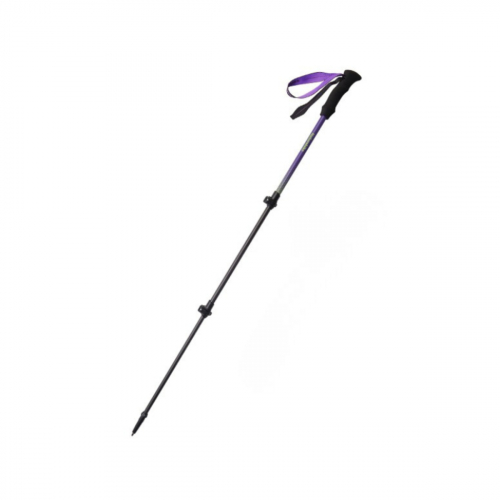 Violeta