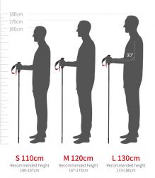 Bastones de trekking ST01 Aluminio 3 secciones Dama